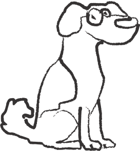 Pets friendly