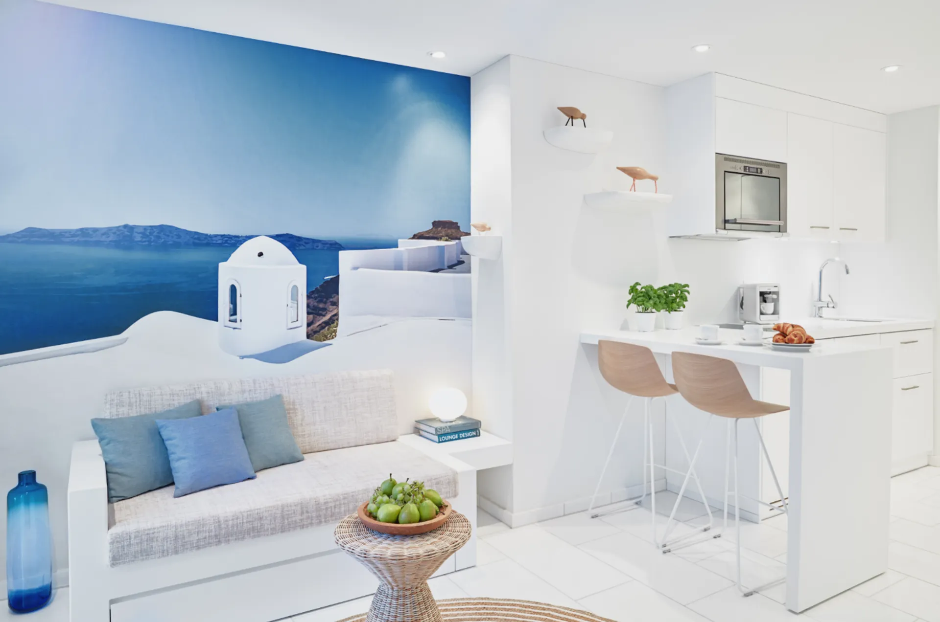 1 Bedroom Apartment Mini 