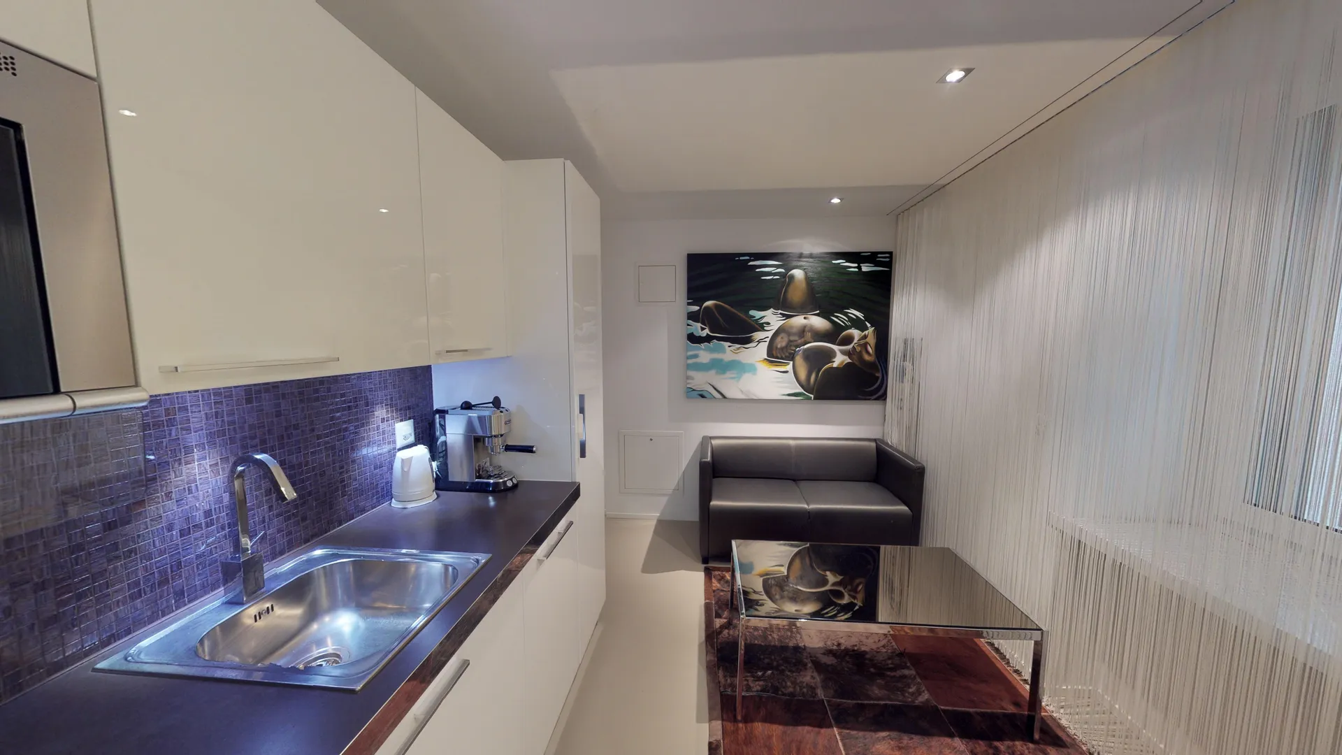 1 Bedroom Apartment Mini